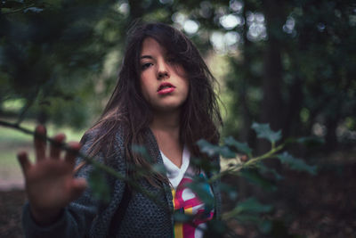 Portrait of a beautiful young woman