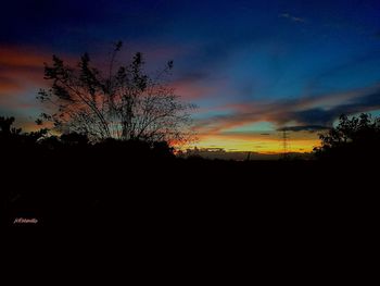 Silhouette trees against sky during sunset