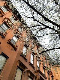 Low angle view of residential buildings