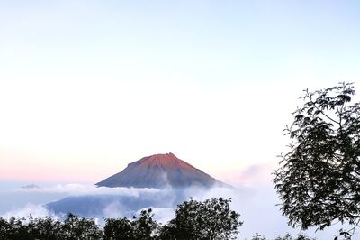 View of trees and snowcapped mountain against sky