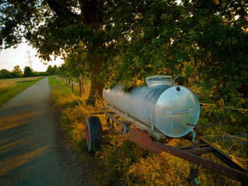 Road amidst trees on field