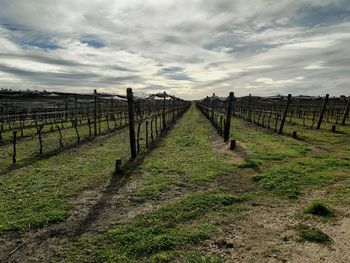 Scenic view of field against cloudy sky