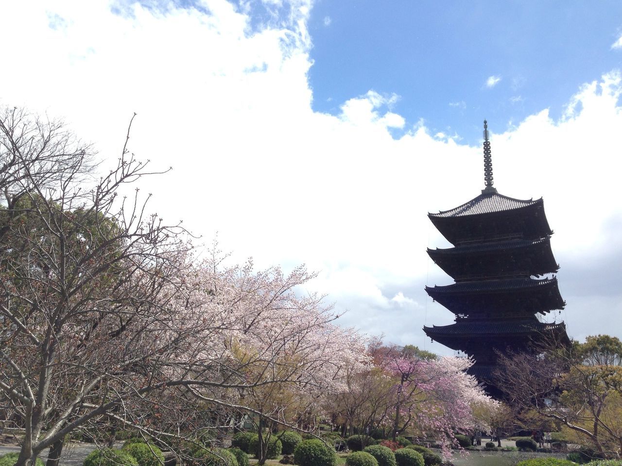 tree, low angle view, sky, built structure, architecture, building exterior, growth, cloud - sky, flower, branch, religion, nature, cloud, day, outdoors, spirituality, no people, tower, cloudy, beauty in nature