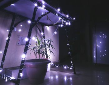 Close-up of illuminated light bulb at home