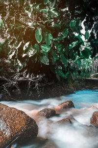 Scenic view of rocks in sea