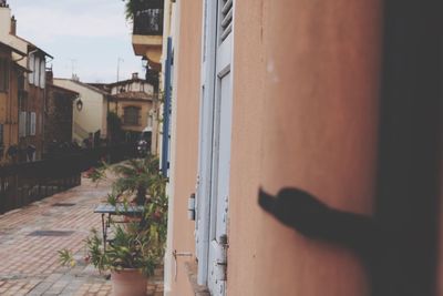 Person on street amidst buildings in city