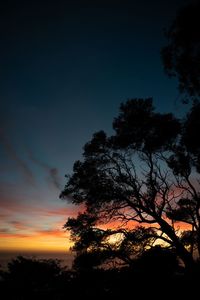 Low angle view of silhouette trees against sky at sunset