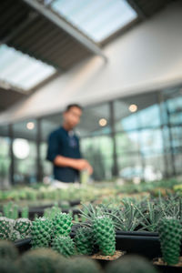 Man working on potted plant at home