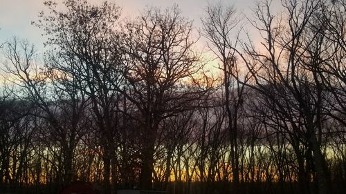 Silhouette bare trees against sky during sunset