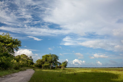 Scenic view of landscape against sky