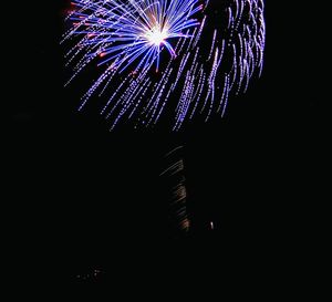 Low angle view of firework display at night