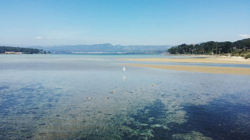 View of calm sea against clear blue sky