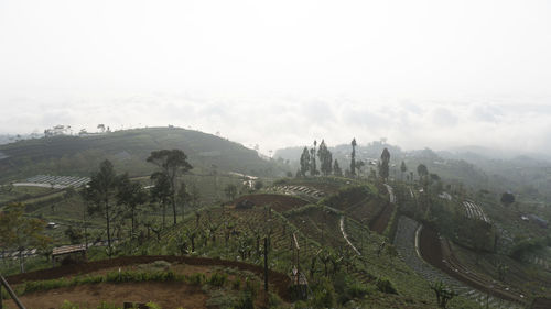 High angle view of trees on landscape against sky