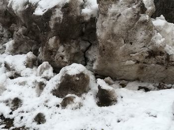 Close-up of snow on rock