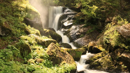 Scenic view of waterfall