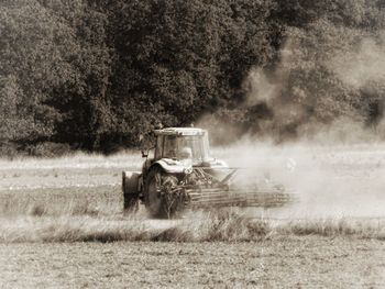 Horse cart on agricultural field