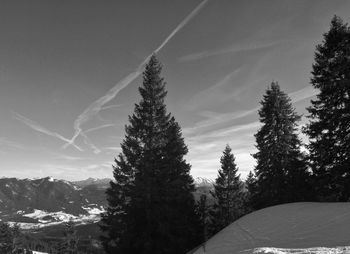 Trees on snow covered landscape against sky