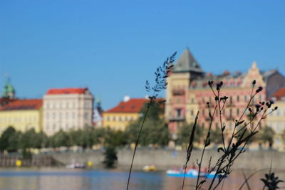 Buildings by river against clear blue sky