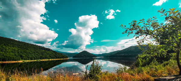 Scenic view of lake by trees against sky