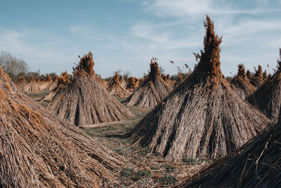 Piles of reef on land against sky