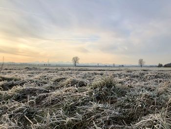 Scenic view of field against sky during sunset