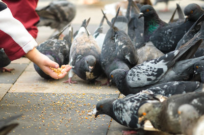 Close-up of person eating food