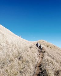 Rear view of men walking on field against clear blue sky