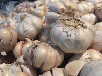 Full frame shot of garlic