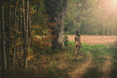 Rear view of woman on grass
