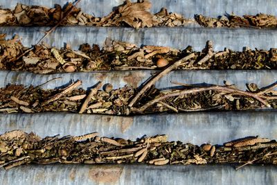 Close-up of old wooden wall