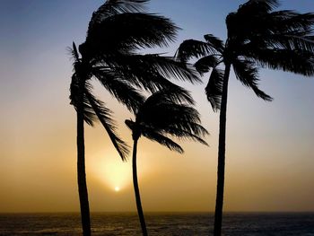 Silhouette palm tree by sea against sky during sunset