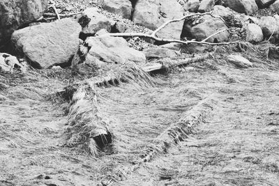 High angle view of rocks on field