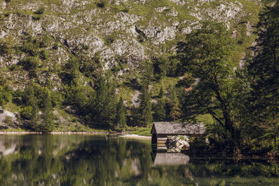 Scenic view of calm lake by trees growing on mountain in forest