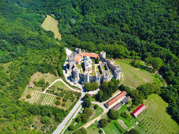 High angle view of trees and houses