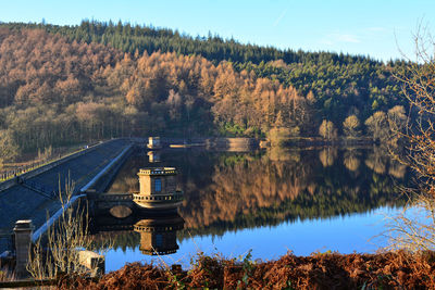 reflection