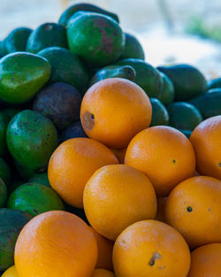 Oranges and mangoes for sale at the market.