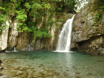 Scenic view of waterfall in forest