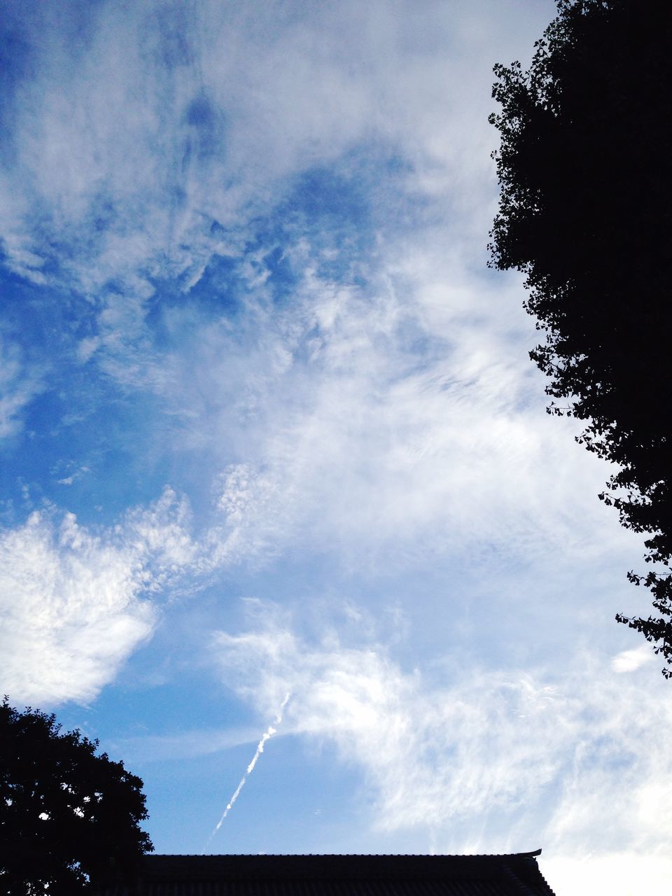 low angle view, sky, tree, cloud - sky, silhouette, high section, cloud, cloudy, nature, blue, beauty in nature, built structure, outdoors, growth, no people, day, architecture, tranquility, power line, building exterior