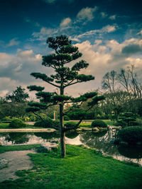 Scenic view of grassy field against cloudy sky