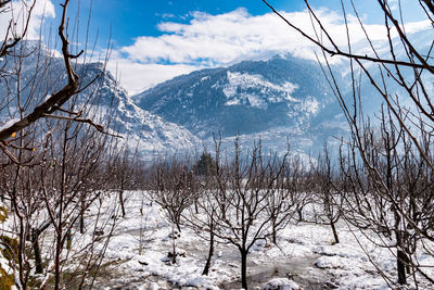 Manali, himachal pradesh, during winter after heavy snow fall.