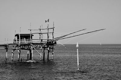 Birds on sea against clear sky