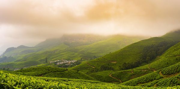 Scenic view of agricultural landscape against sky