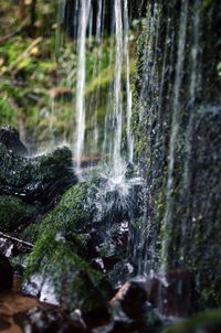 Close-up of waterfall in forest