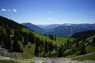 Scenic view of forest against sky
