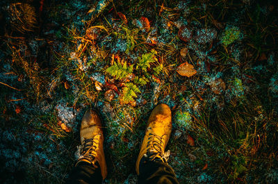 Low section of man wearing shoes standing on field