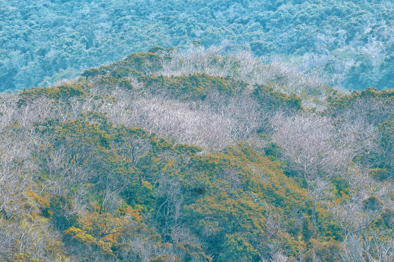 full frame, backgrounds, no people, textured, nature, water, day, outdoors, sea, close-up, beauty in nature