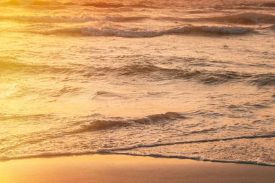 Scenic view of beach