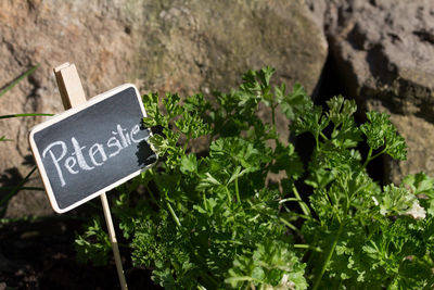 High angle view of information sign on plants