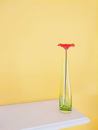 Flower in vase on table against yellow wall