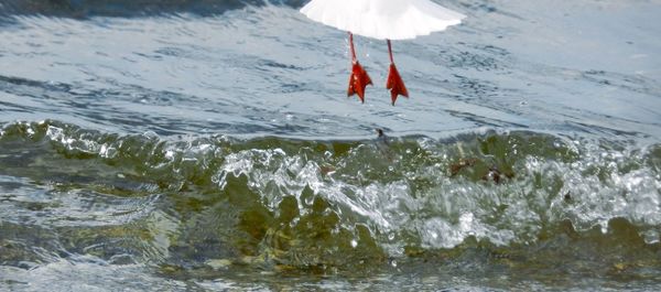 Close-up of water in water